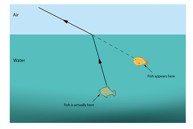 Refraction effect on the fish's position becomes greater with a shallower angle.